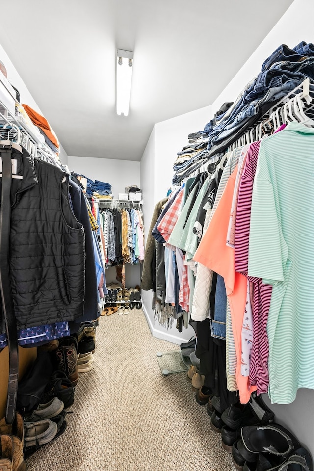 walk in closet with carpet floors