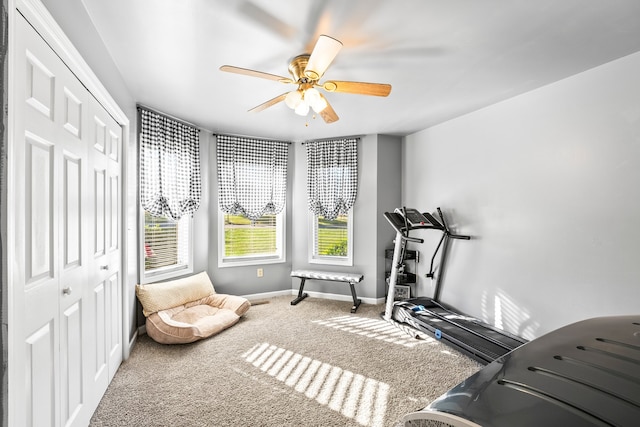 workout room with carpet flooring and ceiling fan