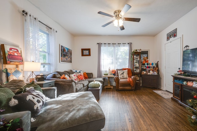 living room with dark hardwood / wood-style floors, plenty of natural light, and ceiling fan