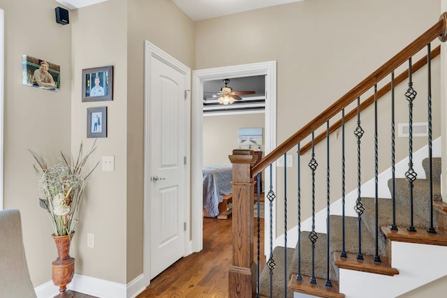 stairs with hardwood / wood-style floors and ceiling fan