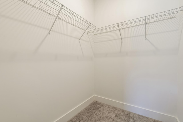 1509 Cedarbrooke Ln, Lebanon, TN 37090 - spacious closet featuring carpet floors