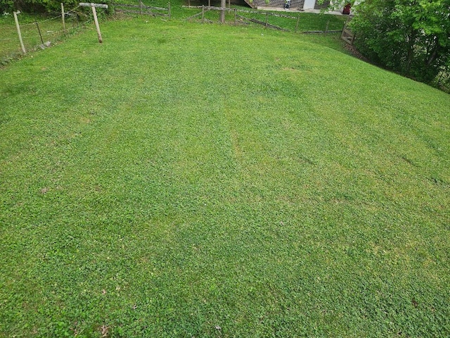 407 College Ave E, Carthage, TN 37030 - view of yard