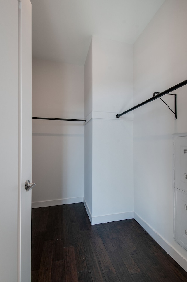 spacious closet with dark wood-type flooring