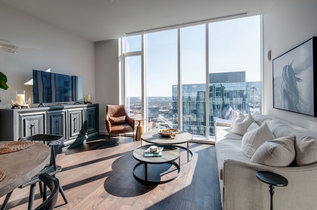 living room featuring wood-type flooring, plenty of natural light, and a wall of windows