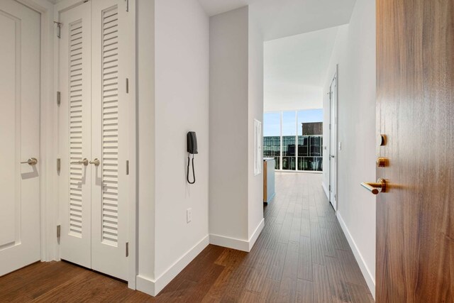 corridor featuring expansive windows and dark hardwood / wood-style flooring