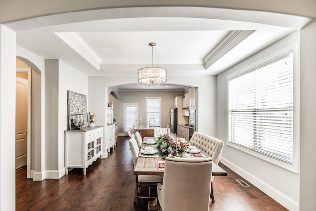 dining room featuring a raised ceiling, a wealth of natural light, and dark wood-type flooring