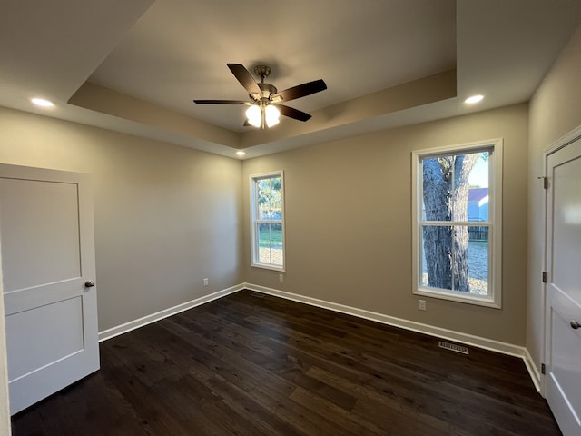 unfurnished room with a tray ceiling, dark hardwood / wood-style flooring, and plenty of natural light