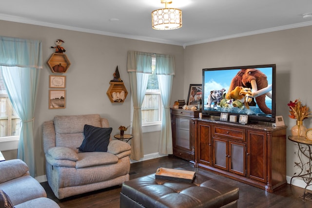 living room featuring dark wood-type flooring and crown molding