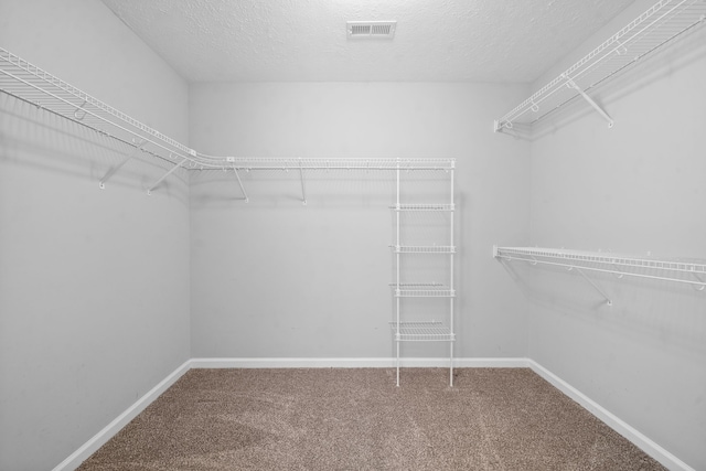 spacious closet with carpet flooring