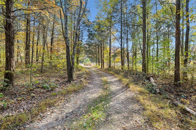 view of road