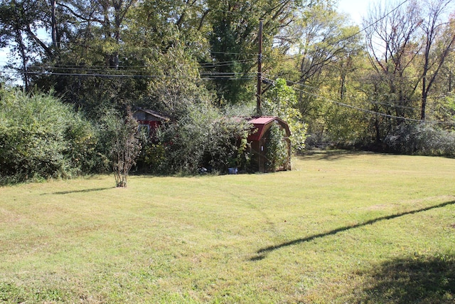 view of yard with a shed