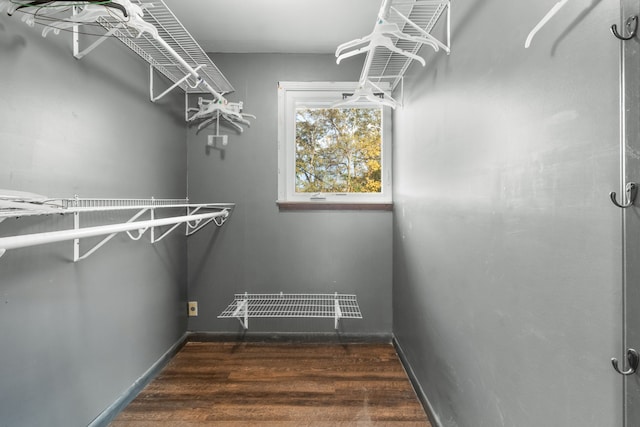 walk in closet with dark hardwood / wood-style flooring