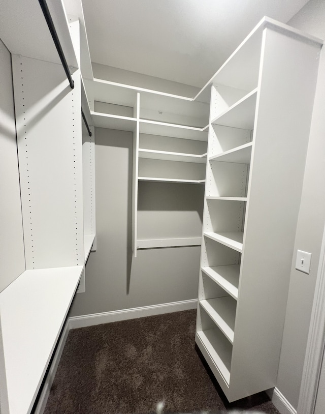 spacious closet featuring dark colored carpet