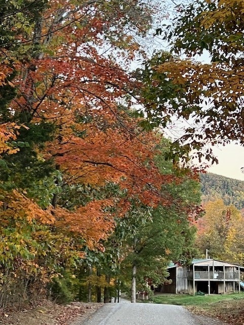 view of surrounding community