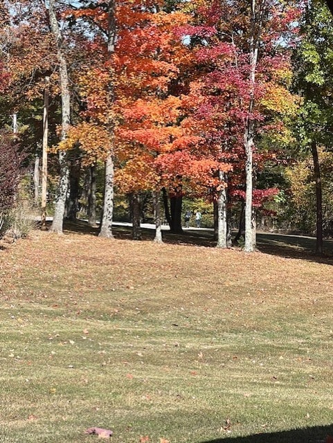 view of property's community with a lawn