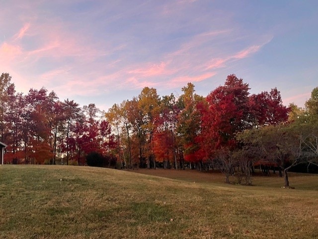 view of yard at dusk