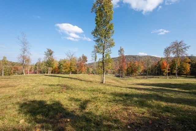 view of yard featuring a rural view and a mountain view