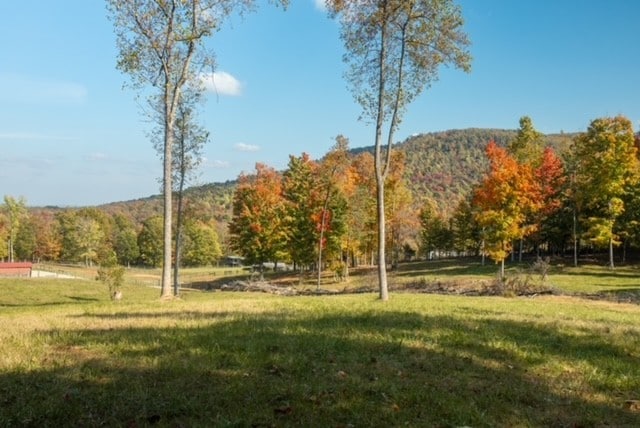 view of community with a mountain view and a lawn