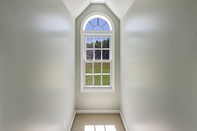 entryway with lofted ceiling