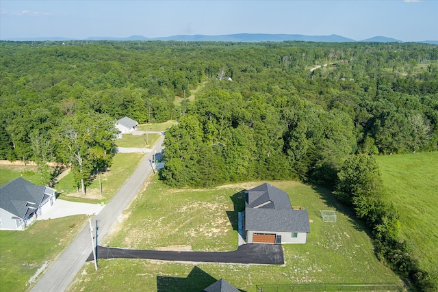 drone / aerial view featuring a mountain view