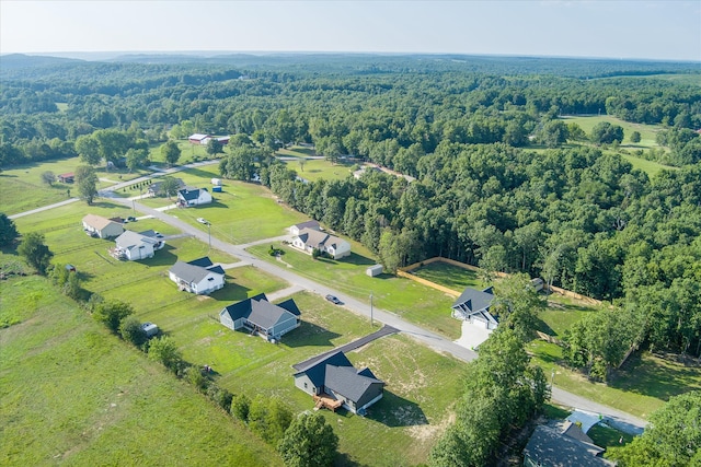 bird's eye view