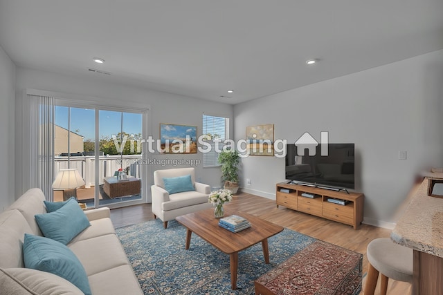 living room featuring wood-type flooring