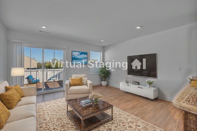 living room featuring wood-type flooring