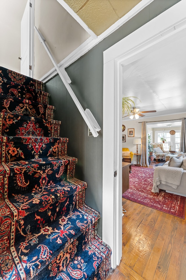 stairs featuring ceiling fan and hardwood / wood-style floors