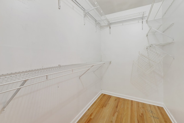 spacious closet featuring hardwood / wood-style flooring