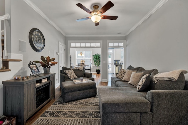 living room with ceiling fan, ornamental molding, and dark hardwood / wood-style flooring