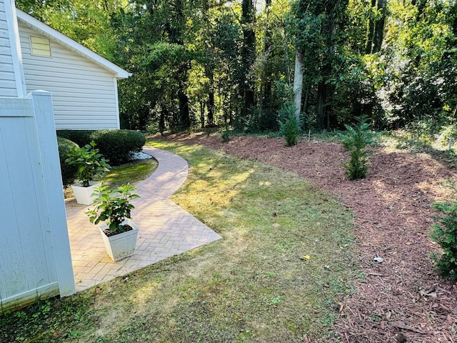 view of yard with a patio area