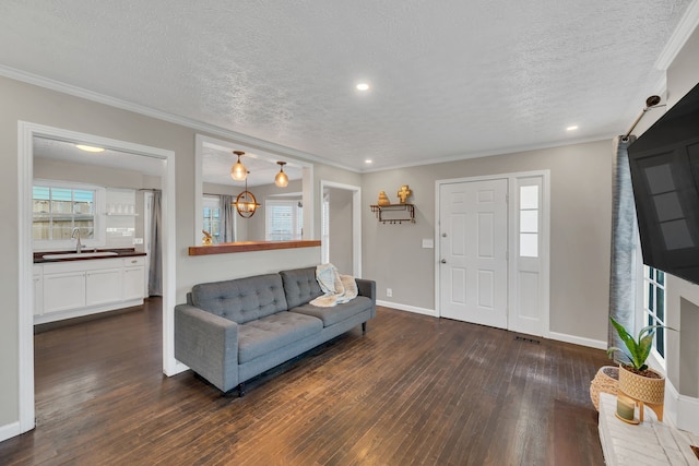 living room with a textured ceiling, sink, dark hardwood / wood-style flooring, and crown molding