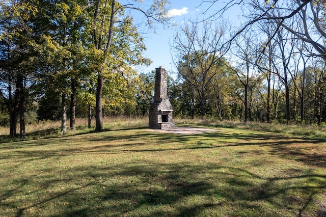 view of yard with exterior fireplace