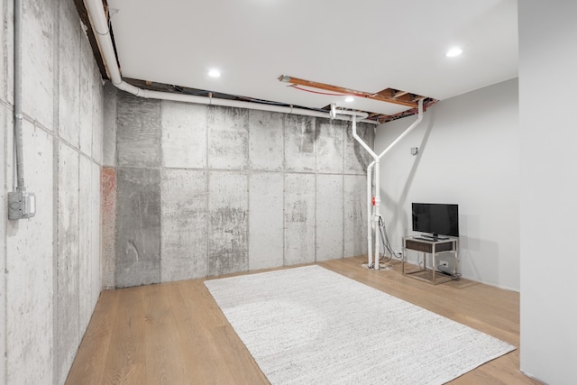 basement featuring wood-type flooring