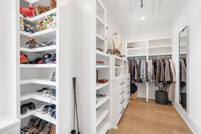 walk in closet with light hardwood / wood-style flooring