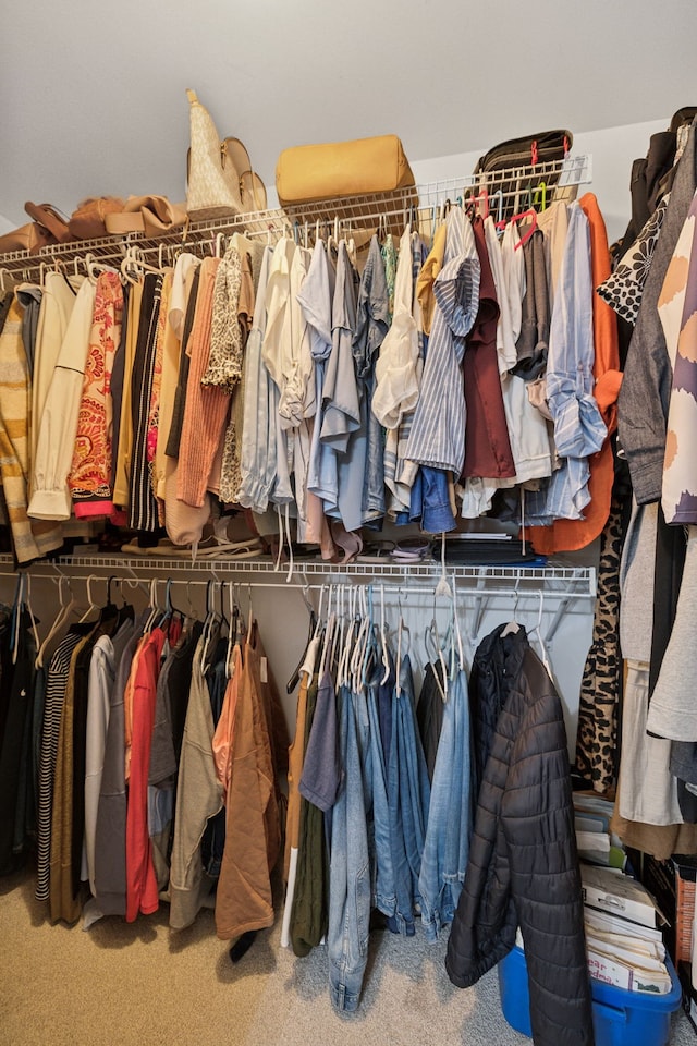 walk in closet featuring carpet floors