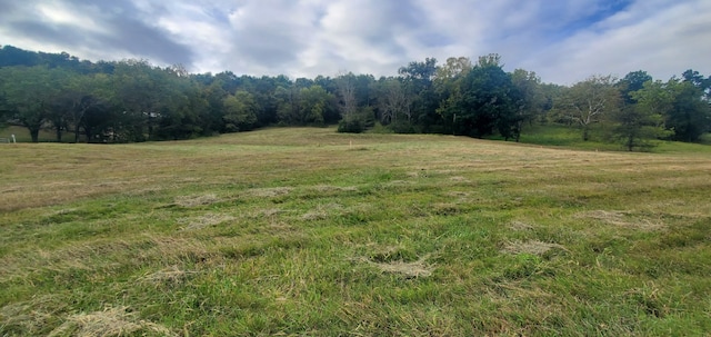 0 Kemp Hollow Rd, Pleasant Shade TN, 37145 land for sale