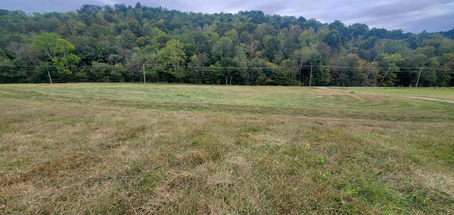 Listing photo 2 for 0 Kemp Hollow Rd, Pleasant Shade TN 37145