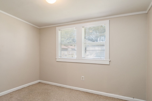 spare room featuring crown molding and carpet floors