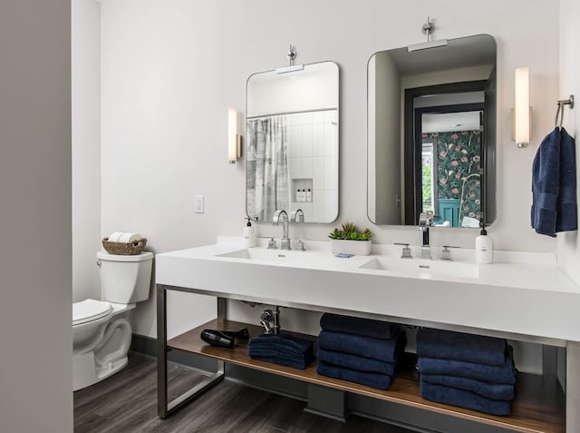 bathroom featuring toilet, vanity, and wood-type flooring