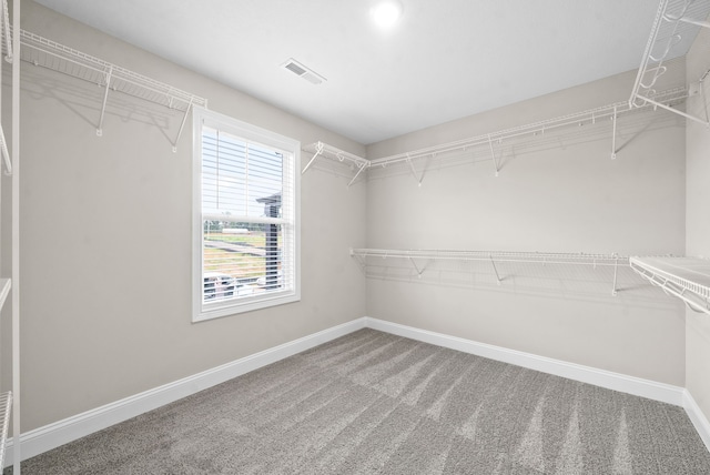 walk in closet with carpet floors