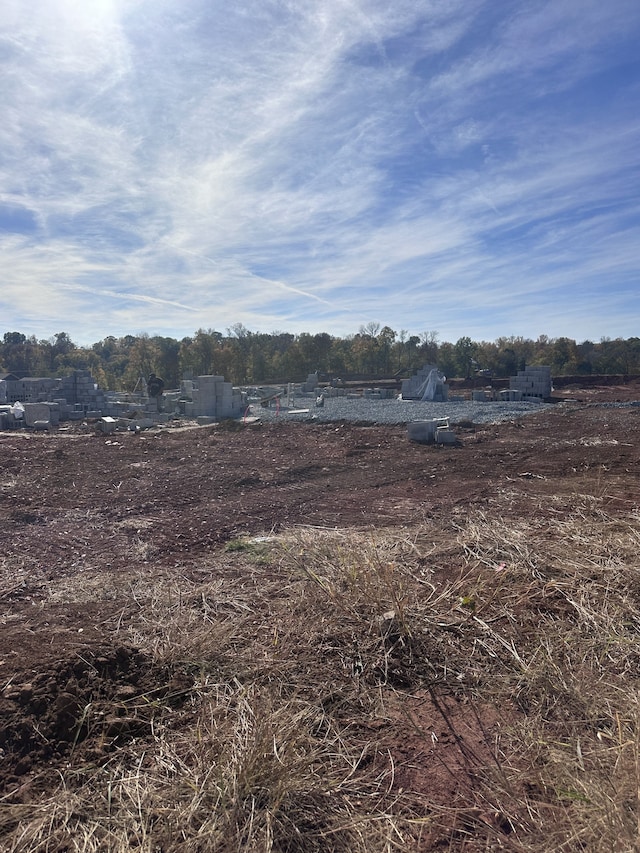 view of yard featuring a rural view