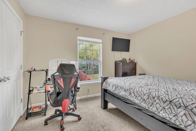 view of carpeted bedroom