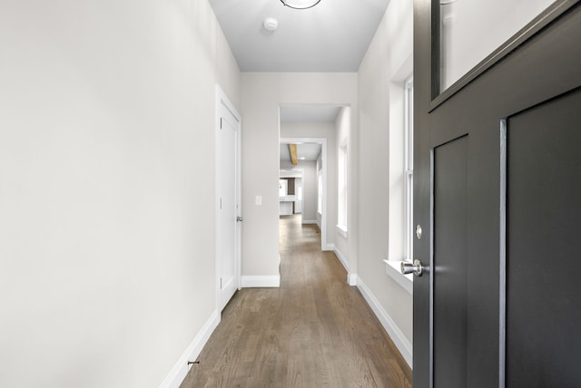 hallway with hardwood / wood-style floors