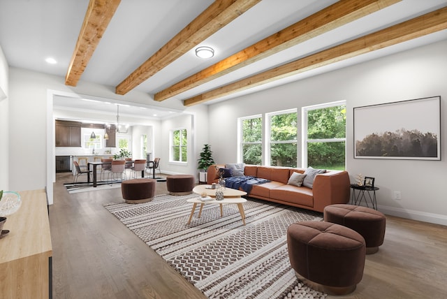 living room with hardwood / wood-style floors, a healthy amount of sunlight, a notable chandelier, and beam ceiling