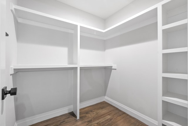 spacious closet featuring dark hardwood / wood-style floors