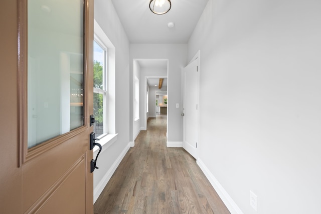 hall with wood-type flooring and a healthy amount of sunlight