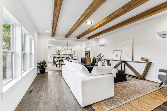 living room featuring hardwood / wood-style floors and beamed ceiling