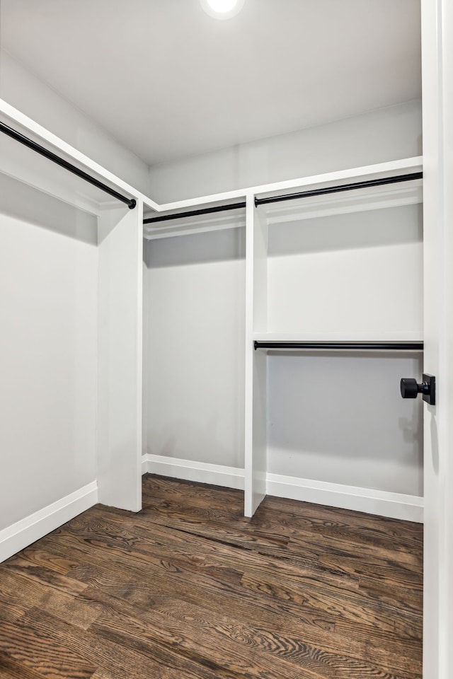 walk in closet featuring dark hardwood / wood-style floors