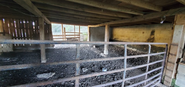 view of horse barn